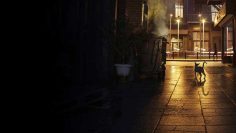 3ds-max-render-alma-nedir